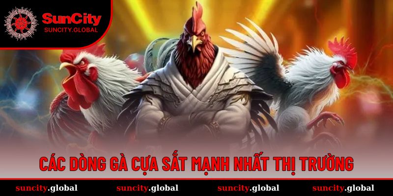Những loại chiến kê mạnh nhất trong đấu cựa sắt