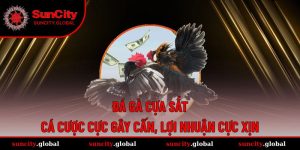 Đá Gà Cựa Sắt - Cá Cược Cực Gây Cấn, Lợi Nhuận Cực Xịn