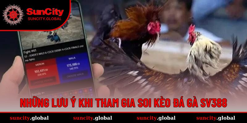 Những lưu ý để dễ dàng tham gia cá cược đá gà