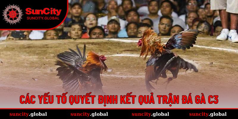 Kết quả đá gà C3 dựa trên nhiều yếu tố