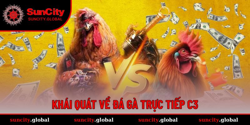Đá gà trực tiếp C3 luôn đầy hấp dẫn