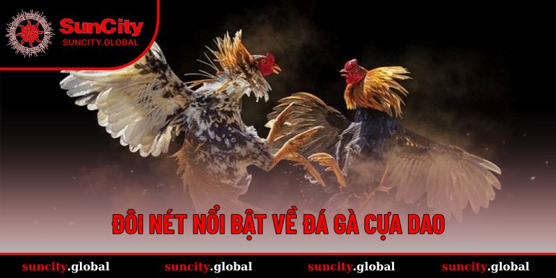 Khái niệm dễ hiểu cho tân binh