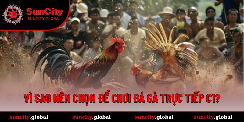 Lý do bạn nên chơi đá gà trực tiếp C1