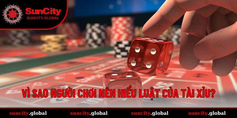 Lý do cần tìm hiểu kỹ các quy định