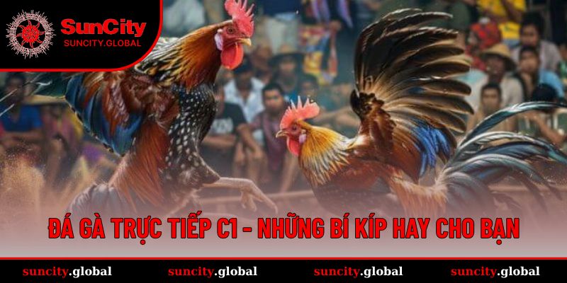 Mẹo hay giúp bạn thắng khi chơi tại nhà cái