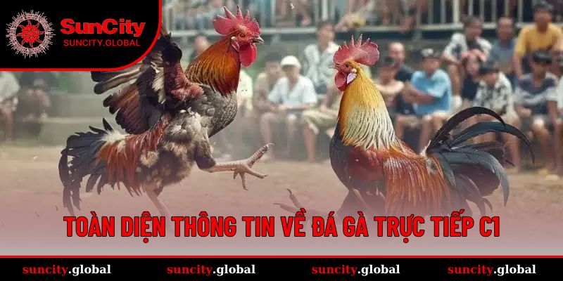 Tất tần tật về trò chơi đá gà trực tiếp C1